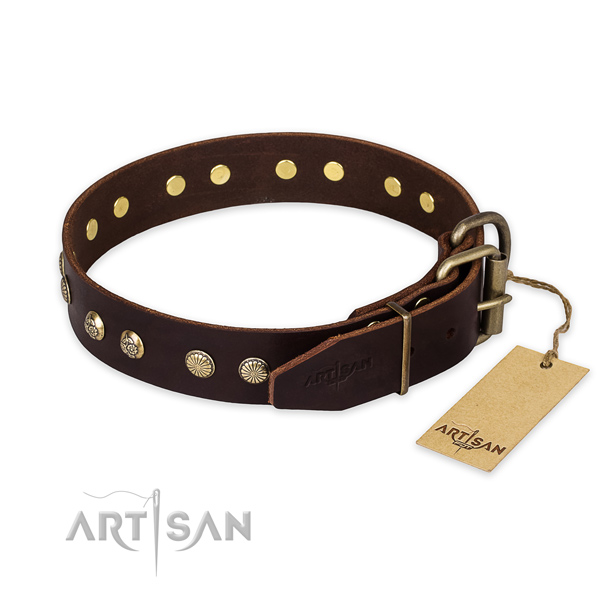 Walking full grain natural leather collar with embellishments for your dog