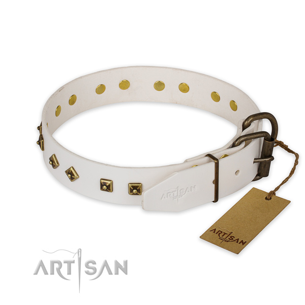 Everyday use full grain leather collar with embellishments for your dog