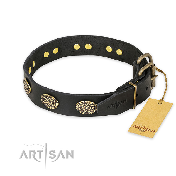 Stylish walking leather collar with decorations for your dog