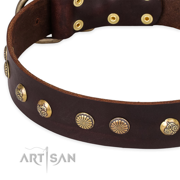 Snugly fitted leather dog collar with almost unbreakable durable buckle and D-ring
