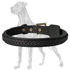 Great Dane Braided Leather Collar Dog Walking