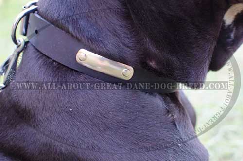 High Quality Leather Dog Collar