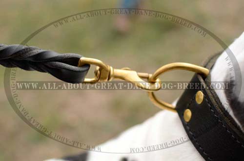  2 Ply Leather Great Dane Collar 