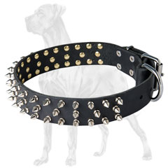 Safe Great Dane collar of dog-friendly material