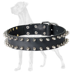 Great Dane collar of dog-friendly material