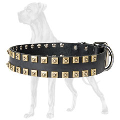 Hypoallergic Leather Great Dane Collar with Studs