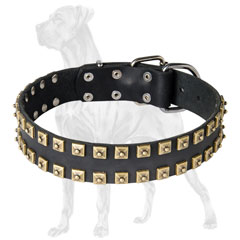 Studded Leather Great Dane Collar with rustproof Hardware