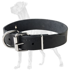  Leather Great Dane collar with nickel plated buckle 