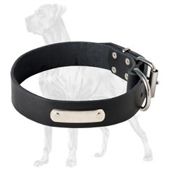 Leather Great Dane collar with ID tag 