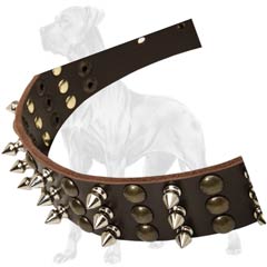 Great Dane Spiked and Studded Leather Collar Nickel Plated Buckle