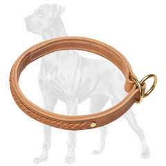 Great Dane leather choke collar with brass plated fittings