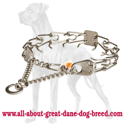 Herm Sprenger collar with blunt prongs for Great Dane