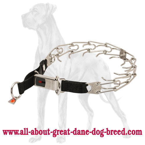 Easy fastening the Great Dane collar due to click lock  buckle