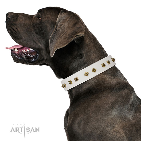 Great Dane incredible full grain leather dog collar for handy use
