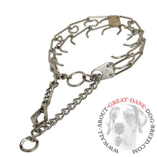 Great Dane pinch collar with durable chrome plating