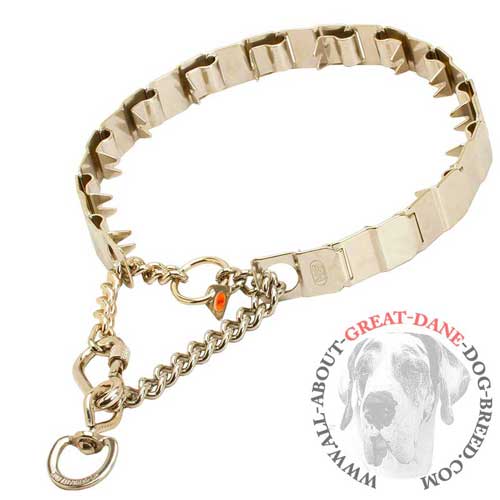 Great Dane reliable pinch collar with secure lock