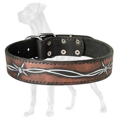 Durable Painted Leather Dog Collar