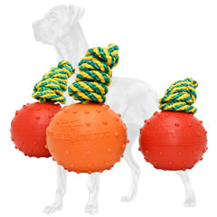 Rubber ball for Great Dane with colorful nylon rope