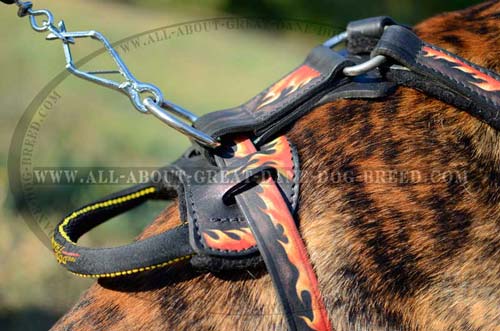 D-Ring on Painted Dog Harness 