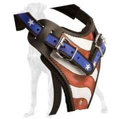 Non-Toxic Leather Dog Harness