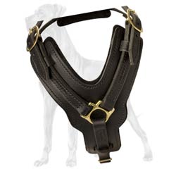 4 ways adjustable harness for Great Dane