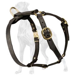 Premium quality durable leather Great Dane harness