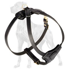 Safe Leather Dog Harness for Daily Puppy Walks