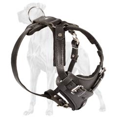 Strong Leather Dog Harness with Padded Adjustable Straps