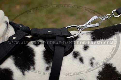 Leather Dog Harness Padded Back Plate 