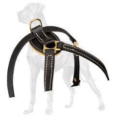 Fashion Leather Dog Harness for Great Dane Puppies
