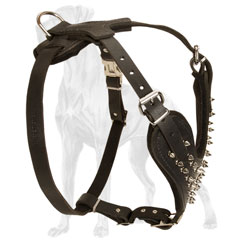 Great Dane leather easy adjustable harness