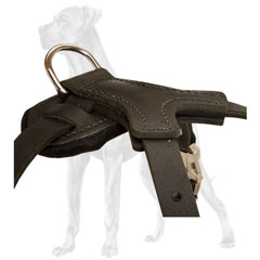 Leather Great Dane harness with padded chest plate