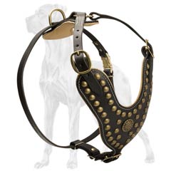 Amazing Leather Dog Harness