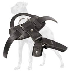 Leather Dog Harness Padded Back Plate