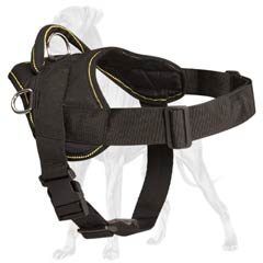 Feature-rich nylon Great Dane harness