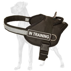 Great Dane harness for tracking