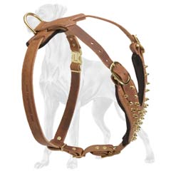 Decorated Leather Great Dane Harness with D-Ring to Attach Lead