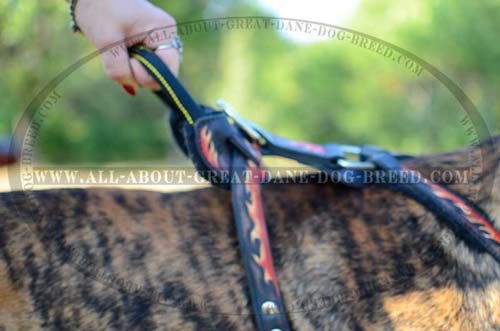Handle on Leather Dog Harness