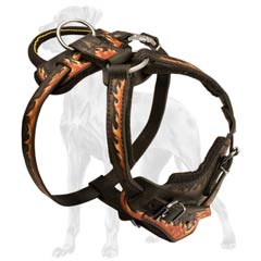 Handle Stitched to Dog Harness
