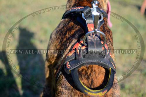 Leather Dog Harness With Ring