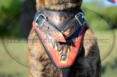 Painted Padded Leather Great Dane Chest Plate