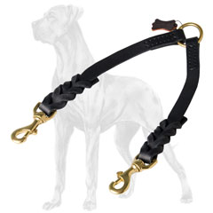 Stylish leather Great Dane coupler with braids