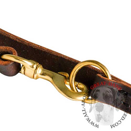 Authentic leather leash for Great Dane
