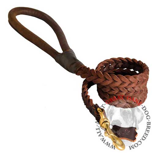 Great Dane braided leather leash
