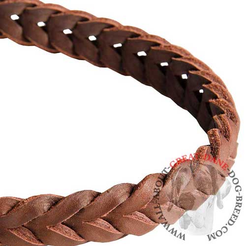Fully braided leather leash for Great Dane