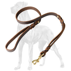 Superior Great Dane leash with extra handle