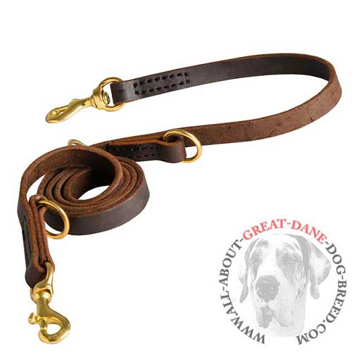 Everyday walking Great Dane leather leash