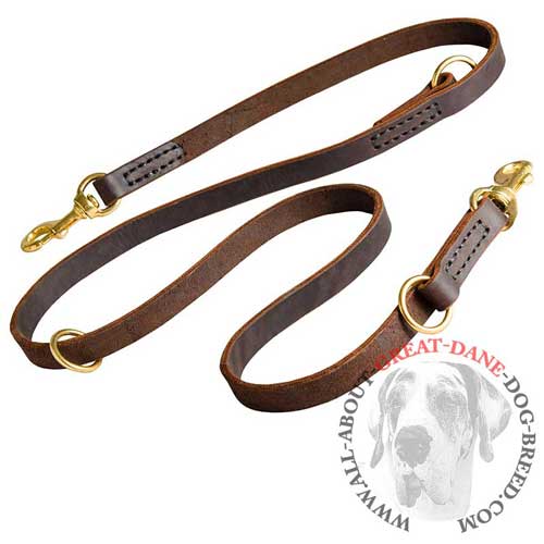 Functional leather leash for Great Dane