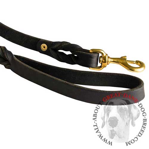 Reliable leather leash with durable fittings for Great  Dane