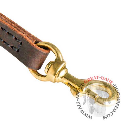 Leash with rust-proof hardware for Great Dane